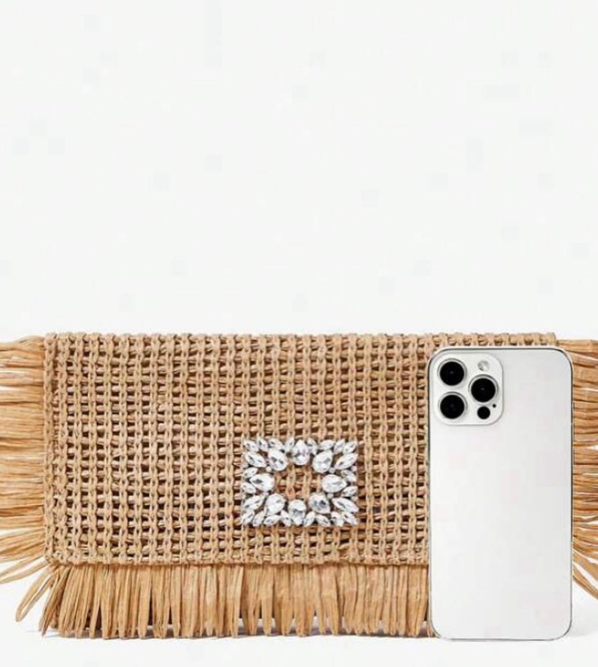 Beach Arm Candy clutch